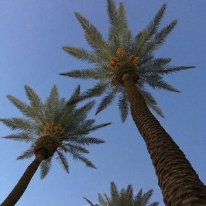 Meet your Posher, Kacey