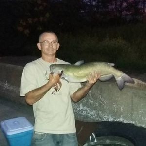 Meet your Posher, Bobby