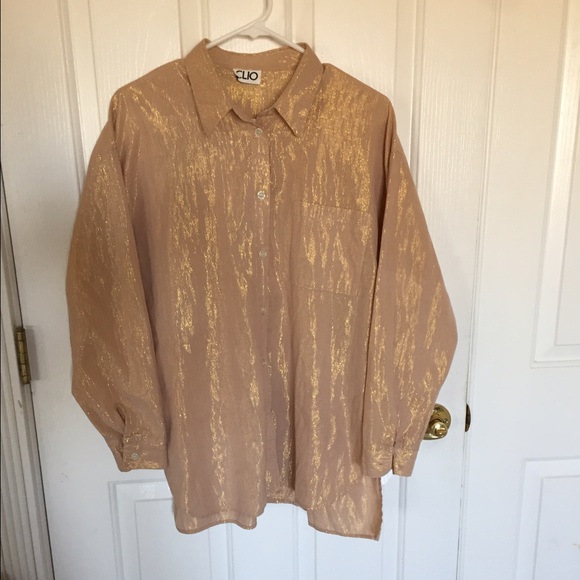 🌟HP Clio champaign shimmer long sleeve top - Picture 3 of 4