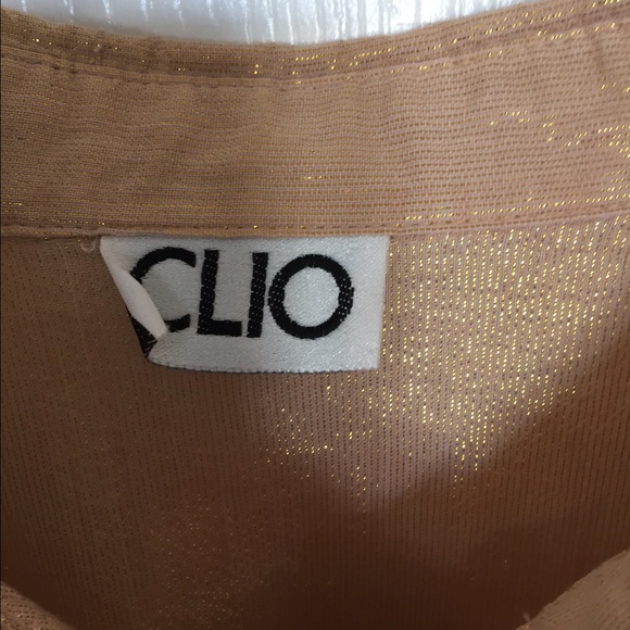 🌟HP Clio champaign shimmer long sleeve top - Picture 4 of 4