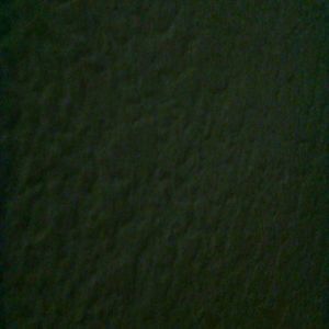 Meet your Posher, Beciesue