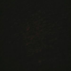 Meet your Posher, Laya