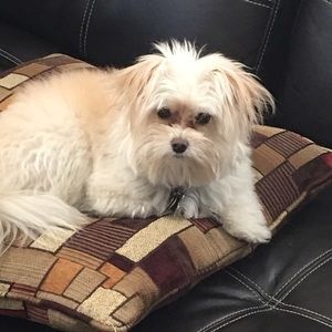 Meet your Posher, Leroy