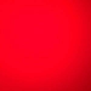 Meet your Posher, Joey