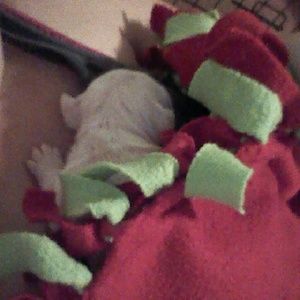 Meet your Posher, Heather