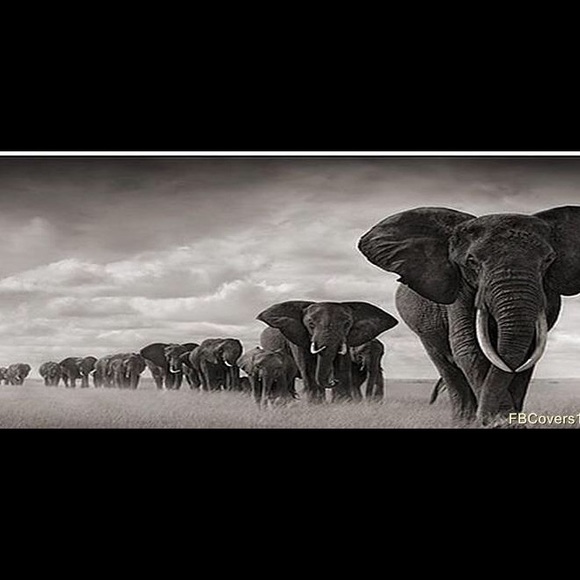 MADE IT TO 75k going for 80k! - Picture 6 of 8