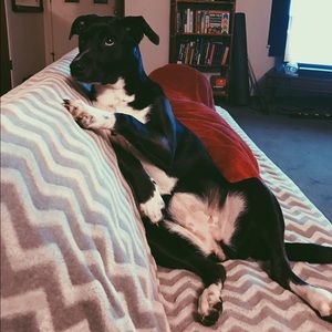 Meet your Posher, Cary