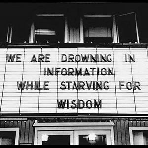 Meet your Posher, Lola