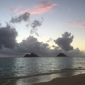 Meet your Posher, Bella