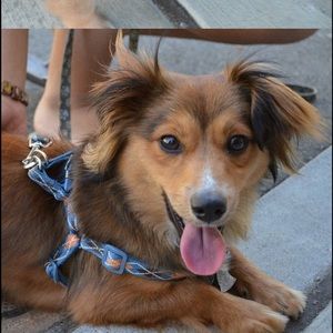 Meet your Posher, Anne