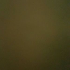 Meet your Posher, Karina