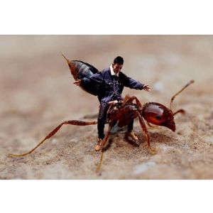 Meet your Posher, Jasper