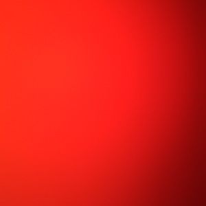 Meet your Posher, Ari