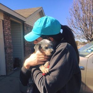 Meet your Posher, Brittany