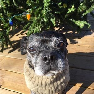 Meet your Posher, Fallon