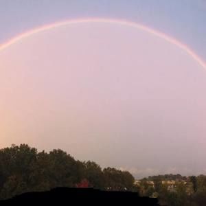 Meet your Posher, Anne