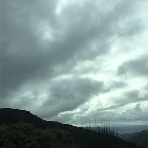 Meet your Posher, Devyn