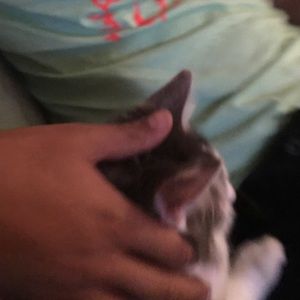 Meet your Posher, Nita