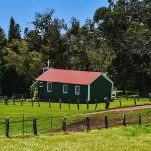 Meet your Posher, Shari-ann