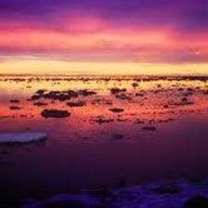 Meet your Posher, Margo