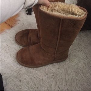 Tall chestnut ugg boots