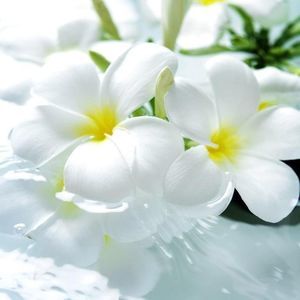 Meet your Posher, Isabel