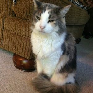 Meet your Posher, Kathy