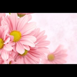 Meet your Posher, Evelyn