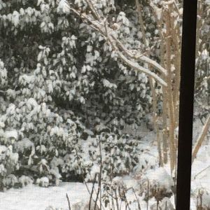 Meet your Posher, Sharon