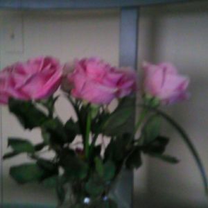 Meet your Posher, Harriette