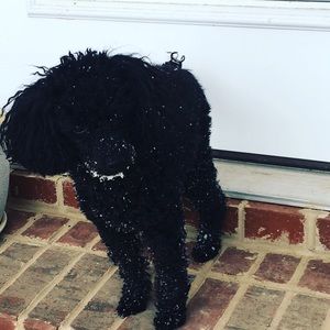 Meet your Posher, Erika