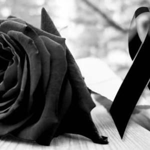 Meet your Posher, Elsa