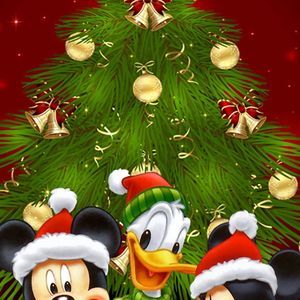 Meet your Posher, Sheila