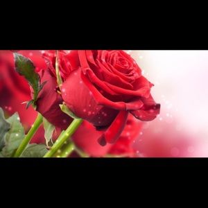 Meet your Posher, Silvia