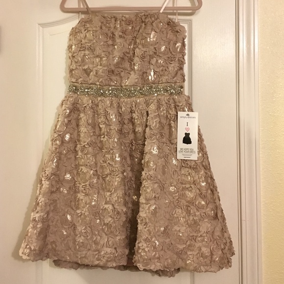 Rosetta blush creme color dress new