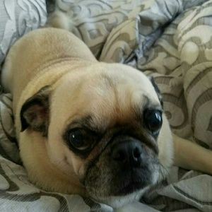 Meet your Posher, Leanne