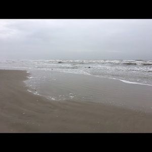 Meet your Posher, Chien hui