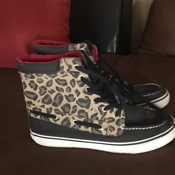 Sperrys hi top