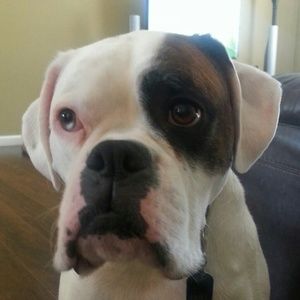 Meet your Posher, Lisa