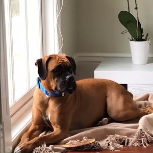 Meet your Posher, Carlos