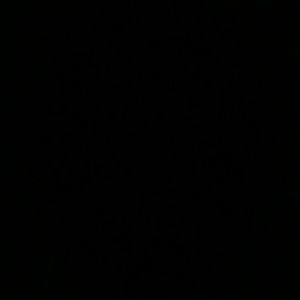 Meet your Posher, Abigail