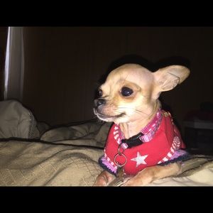 Meet your Posher, Nancy