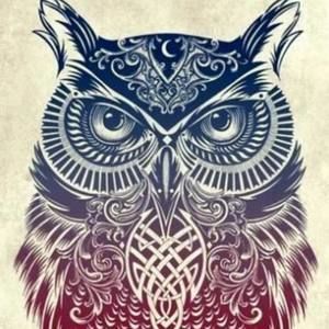 Meet your Posher, Ana