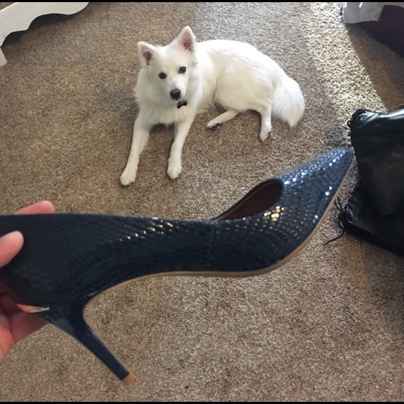 Meet your Posher, Jessica - Picture 2 of 4