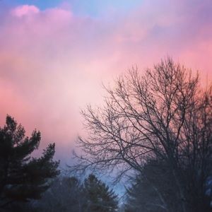 Meet your Posher, Bridget