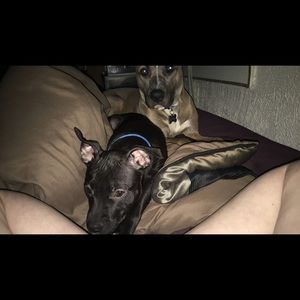 Meet your Posher, Lydia