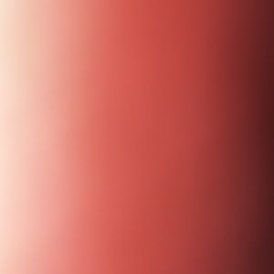 Meet your Posher, Dushanti