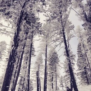 Meet your Posher, Roo