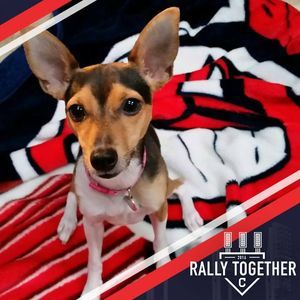 Meet your Posher, Mabel