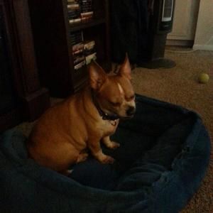 Meet your Posher, Elizabeth